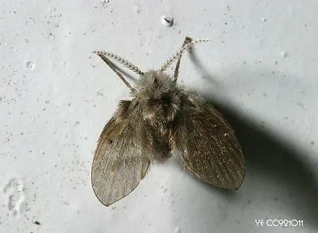 93b6ef411b35ab8e932caf37ca5d9e39 93b6ef411b35ab8e932caf37ca5d9e39