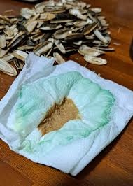 【瓜子變綠事件】女網友嚇壞！咀嚼後吐紙竟變色，到底能不能吃？