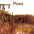 Poex  brightly.gif