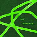 SCG GREEN REAL.gif
