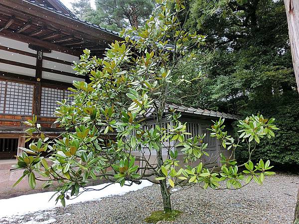 2014.1日本北陸金澤尾山神社