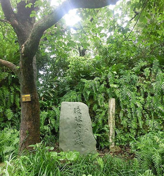 沖繩之旅~守禮門首里城(外城)