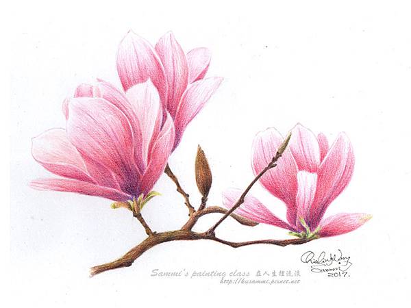 元の水彩 色鉛筆 花 - 最高の花の画像