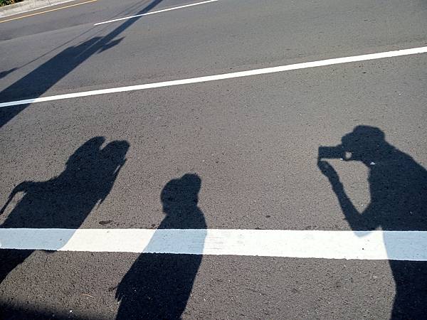 徒步環島3(2023.07.03)板橋---鶯歌