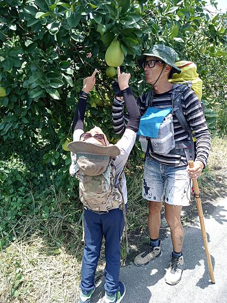 徒步環島20(2023.07.21)新營---安定