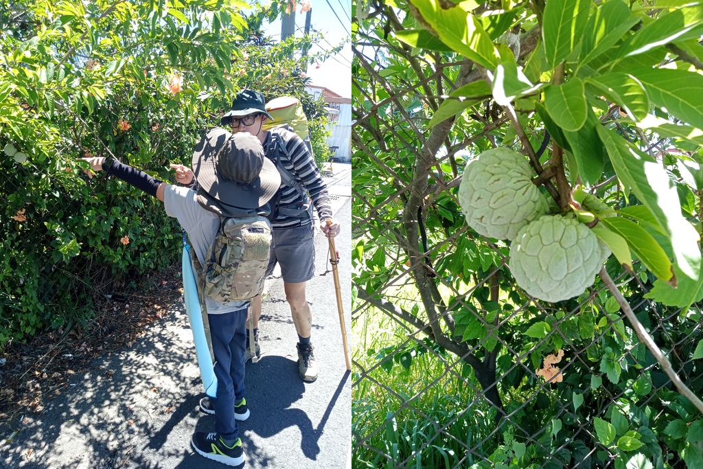徒步環島29 (2024.07.03) 東港---枋寮 20