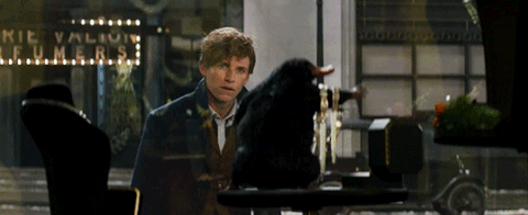 怪獸與牠們的產地 怪獸與牠們的產地