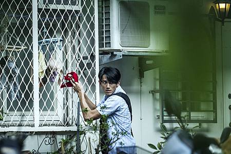 白蟻:慾望謎網 白蟻:慾望謎網