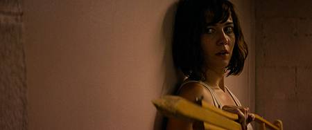 科洛弗10號地窖 科洛弗10號地窖