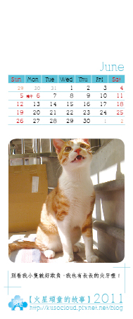 2011小卡月曆7.jpg