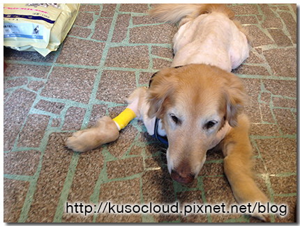 其七 內視鏡採樣檢查 火星頑童的故事