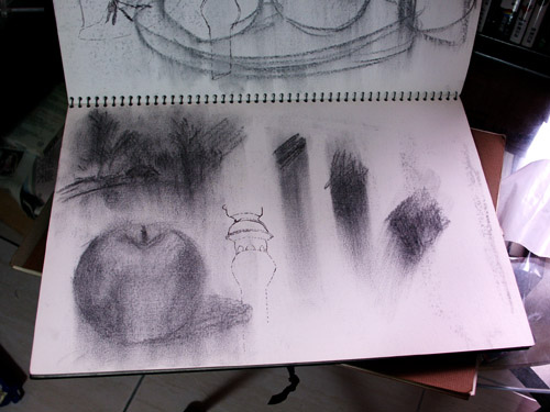 炭筆－練習