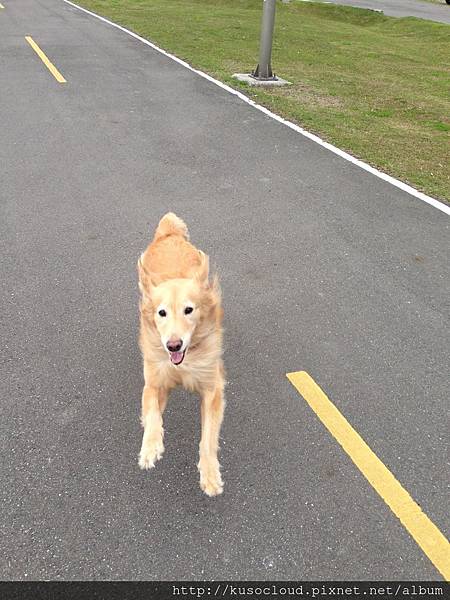 IMG_0792.jpg IMG_0792.jpg