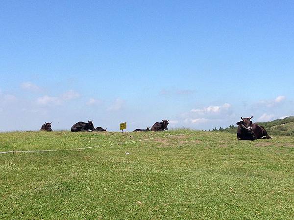 IMG_3707.jpg IMG_3707.jpg