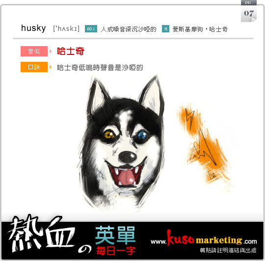 husky_1207.jpg