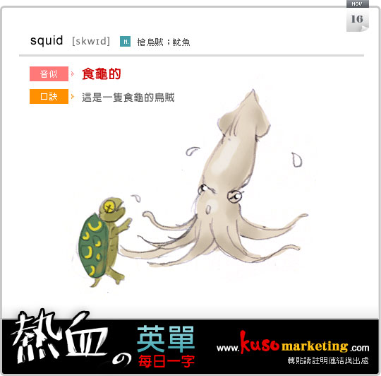 squid_1116.jpg