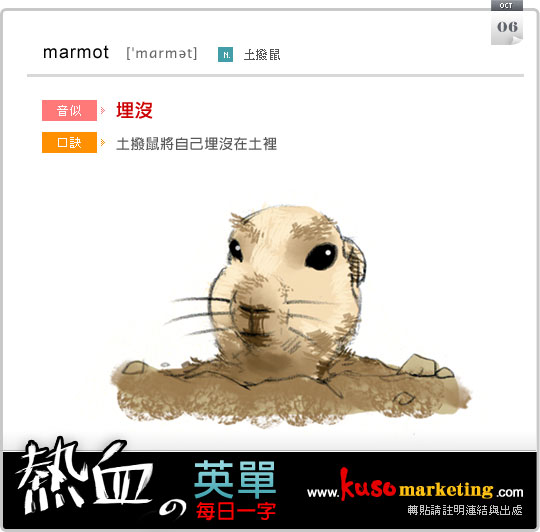 每日一字 marmot  