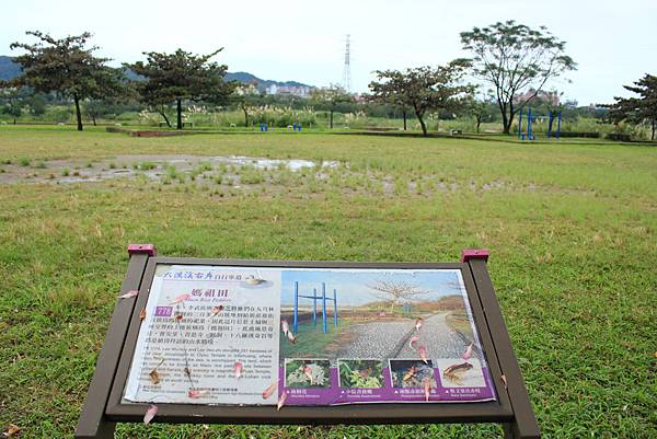 IMG_3271.JPG IMG_3271.JPG