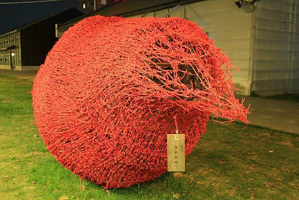 IMG_1597.jpg IMG_1597.jpg