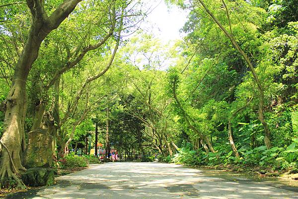 IMG_6582.JPG IMG_6582.JPG