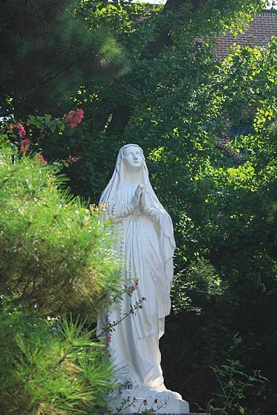 IMG_6062.jpg IMG_6062.jpg