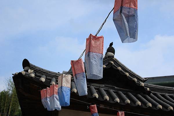 IMG_6238.jpg IMG_6238.jpg