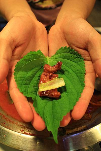 IMG_5497.jpg IMG_5497.jpg