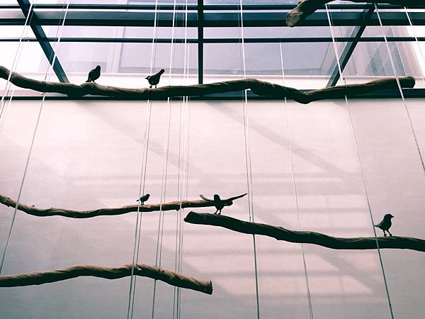 IMG_2585.JPG IMG_2585.JPG