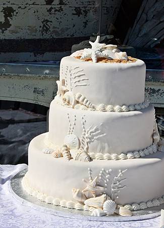 Beach bride shell wedding cake