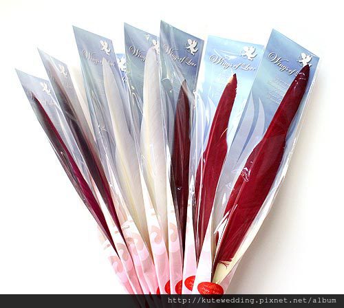 鵝毛筆花束 可艾婚禮小物