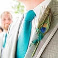 peacock wedding groom.jpg