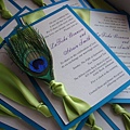 peacock-wedding-invitations-how-to.jpg