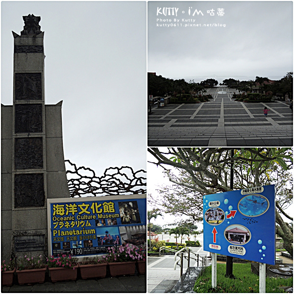 4沖繩海洋博公園-美麗海水族館-海豚劇場 (2).jpg