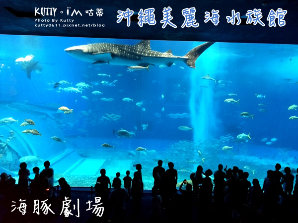 4沖繩海洋博公園-美麗海水族館-海豚劇場 (1).jpg