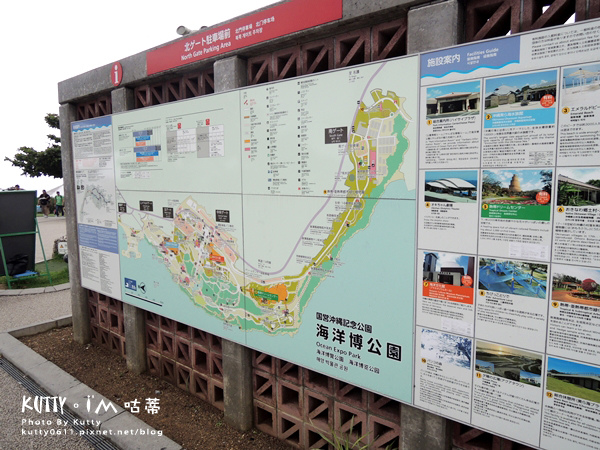 4沖繩海洋博公園-美麗海水族館-海豚劇場 (4).jpg