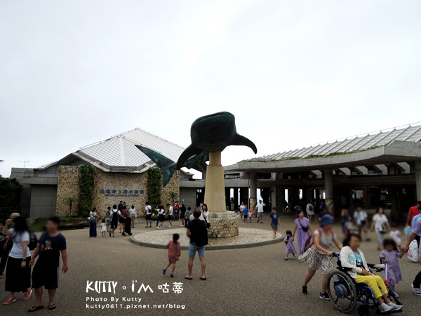 4沖繩海洋博公園-美麗海水族館-海豚劇場 (7).jpg