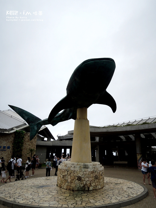 4沖繩海洋博公園-美麗海水族館-海豚劇場 (8).jpg