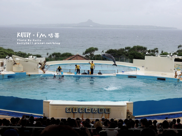 4沖繩海洋博公園-美麗海水族館-海豚劇場 (27).jpg