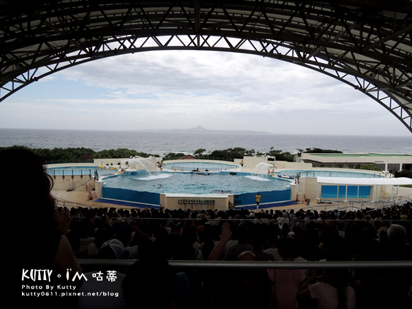 4沖繩海洋博公園-美麗海水族館-海豚劇場 (26).jpg