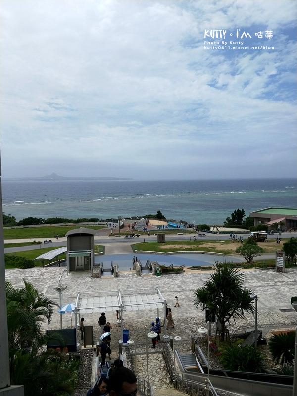 4沖繩海洋博公園-美麗海水族館-海豚劇場 (29).jpg