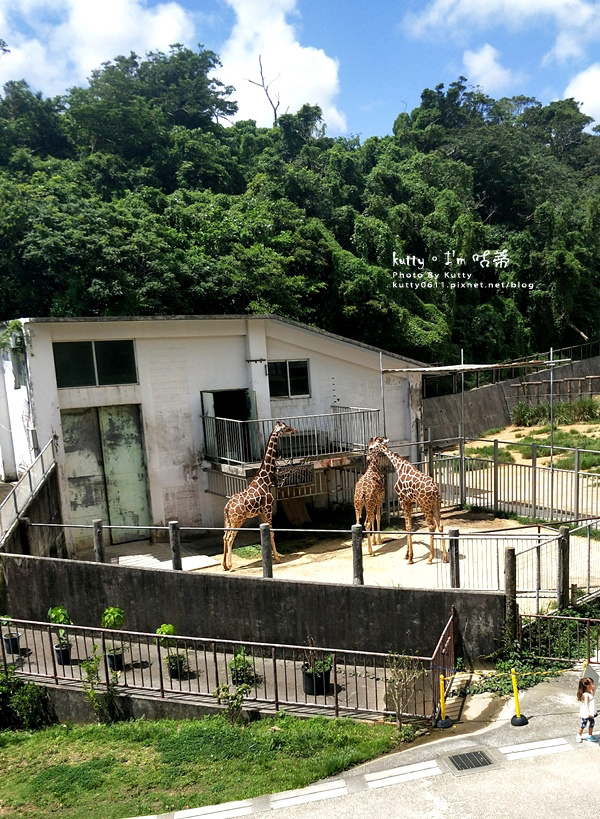 5恐龍伴手禮-兒童王國 (15).jpg