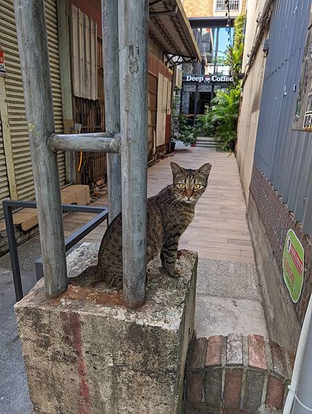 PXL_20220805_235547451