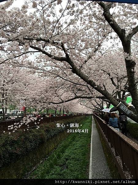 鎮海浪漫橋 (22).JPG