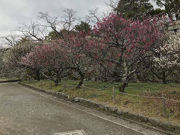 福岡城遺址