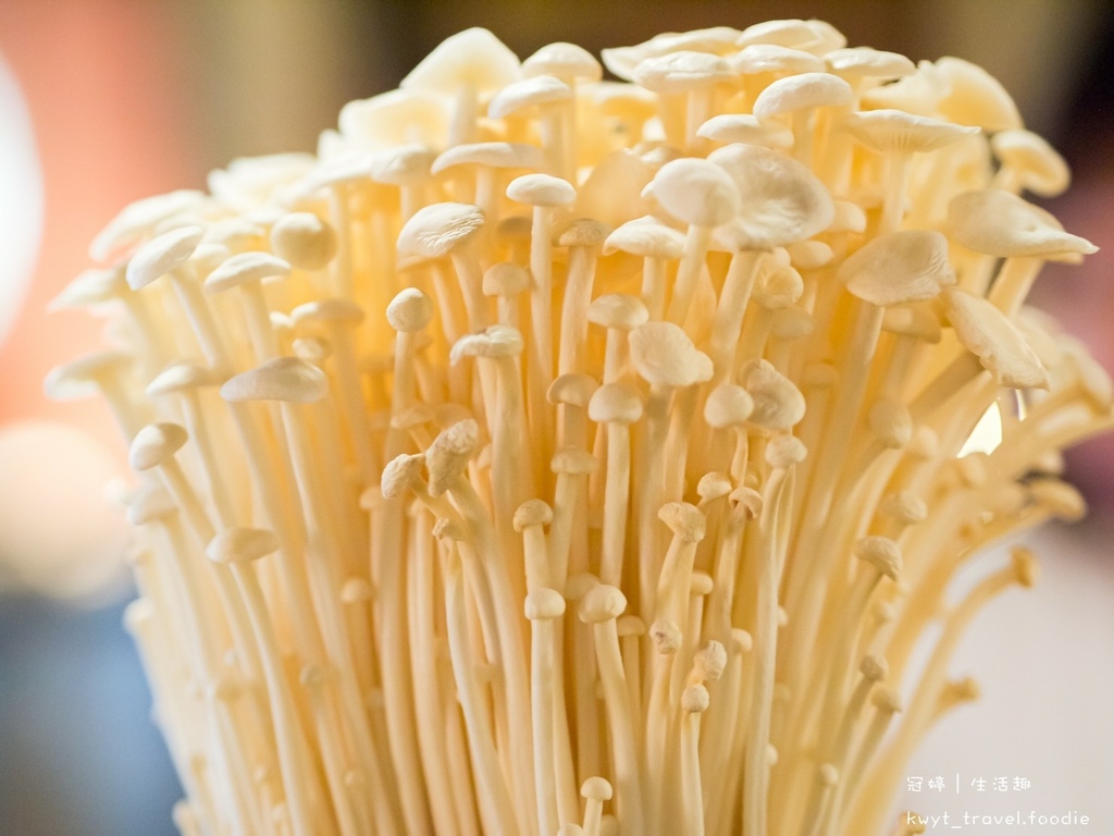 LINE_ALBUM_菇神_220112_10.jpg LINE_ALBUM_菇神_220112_10.jpg