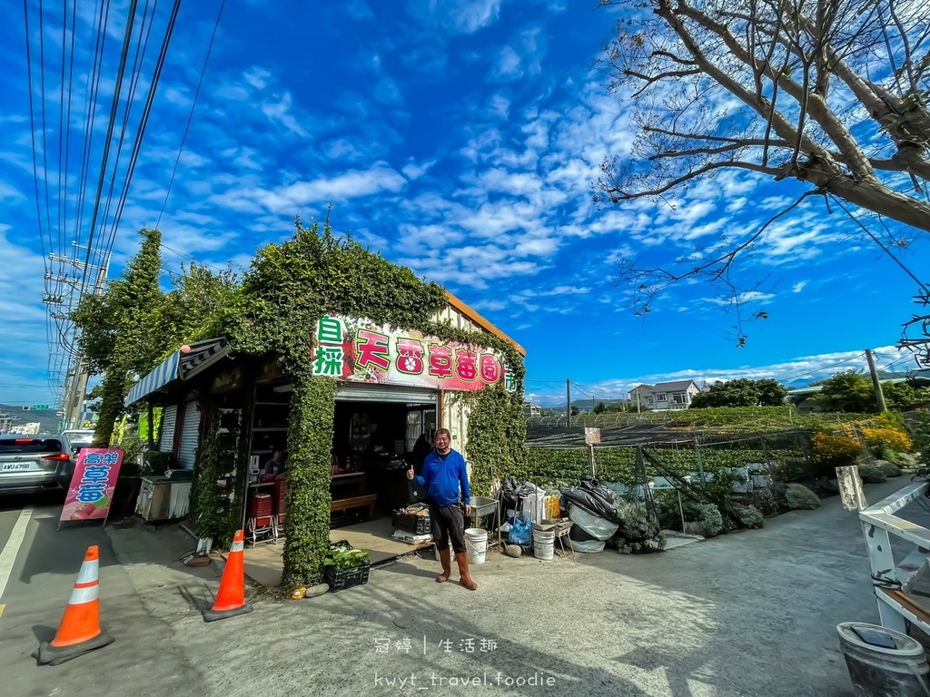 草莓園推薦-天香草莓園37.jpg