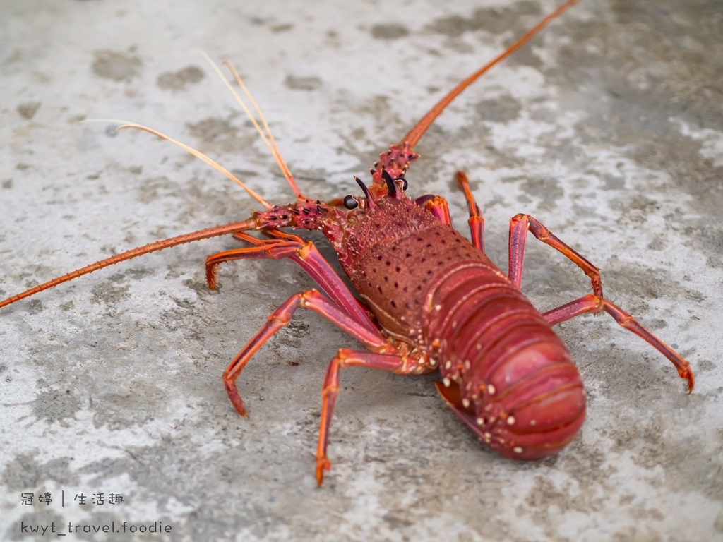 LINE_ALBUM_後壁湖美食-上安活海產_220128_2.jpg