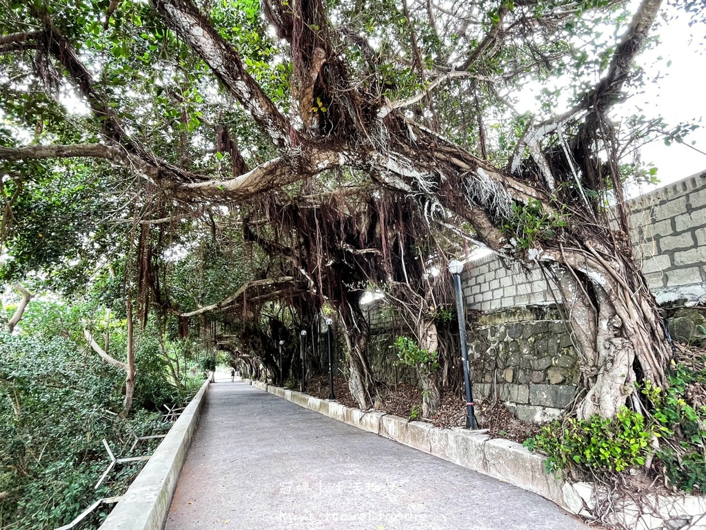 LINE_ALBUM_澎湖住宿推薦-澎湖灣行旅-澎湖民宿包棟推薦-澎湖花火節民宿推薦-澎湖釣魚體驗-_7.jpg