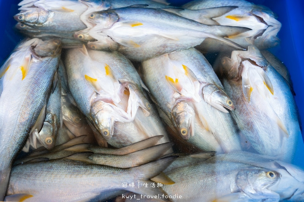 LINE_ALBUM_枋寮美食推薦-龍炭烤-屏東景觀餐廳推薦-枋寮漁港美食-枋寮漁港餐廳-屏東海港餐_59.jpg