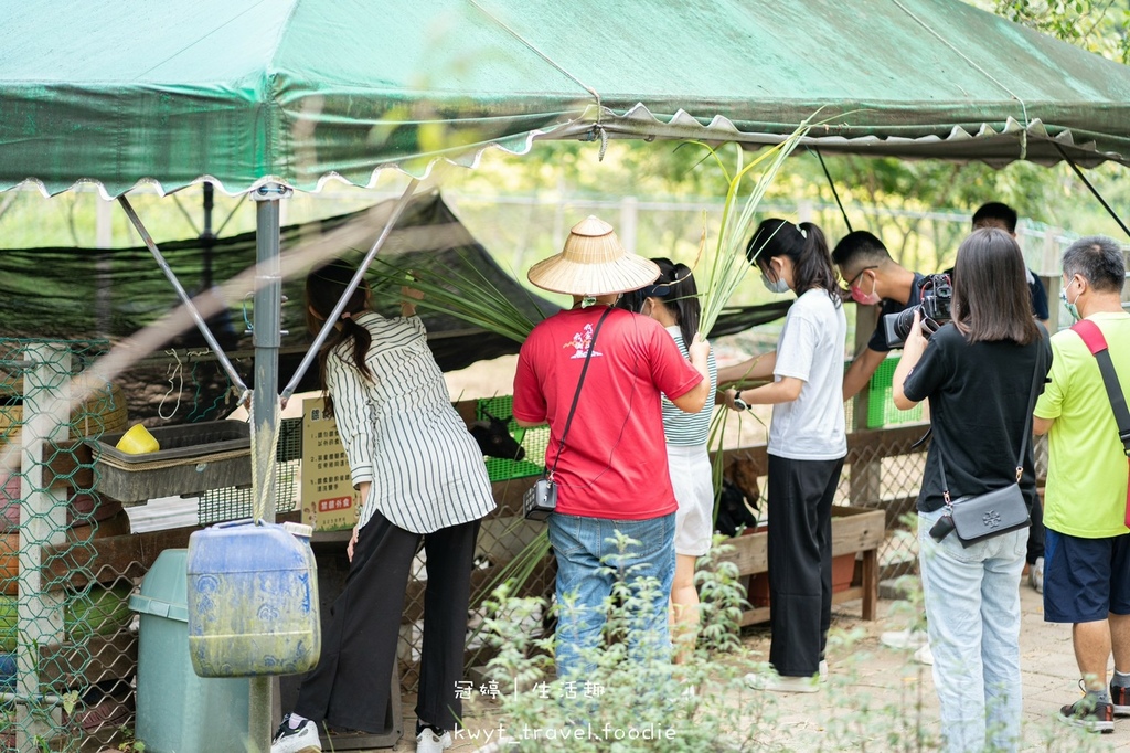 LINE_ALBUM_金山旅遊景點推薦-新北特色觀光旅遊推薦-遠足生態農場-金山美食推薦-金山地瓜_79.jpg